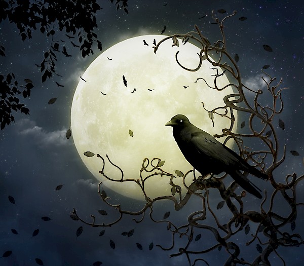 Beware Of The Full Moon In March March Full Moon | Llana Holistic Spirit